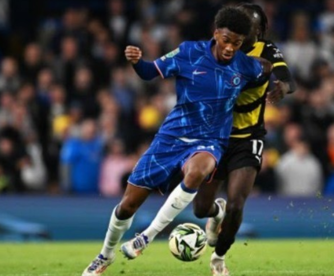 快速的底线 快速的底线